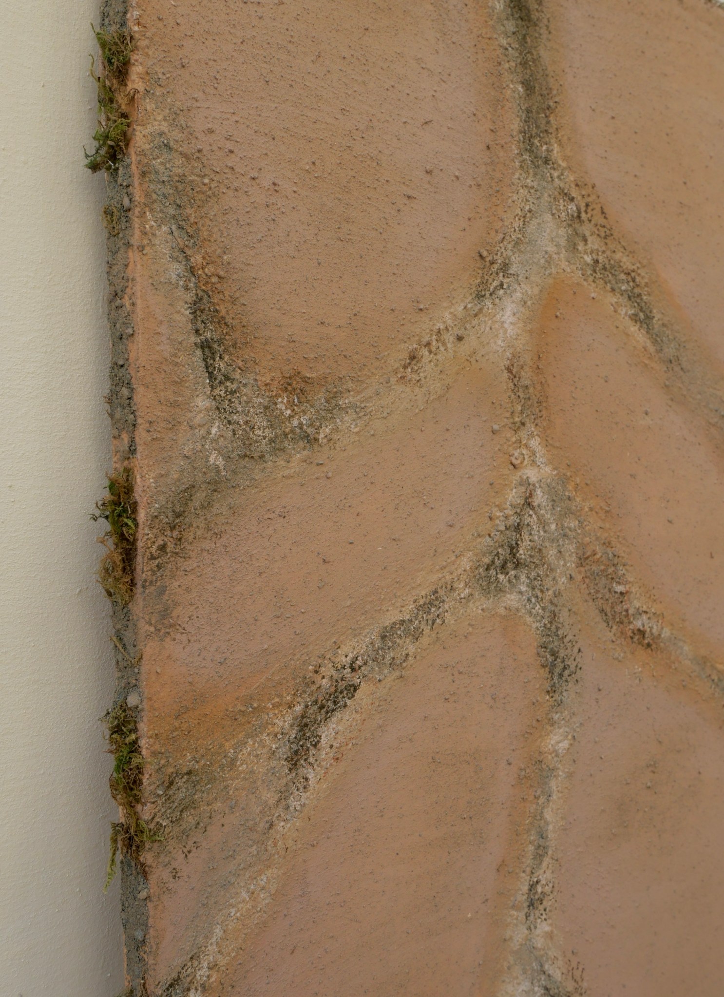 Arboreal Script detail