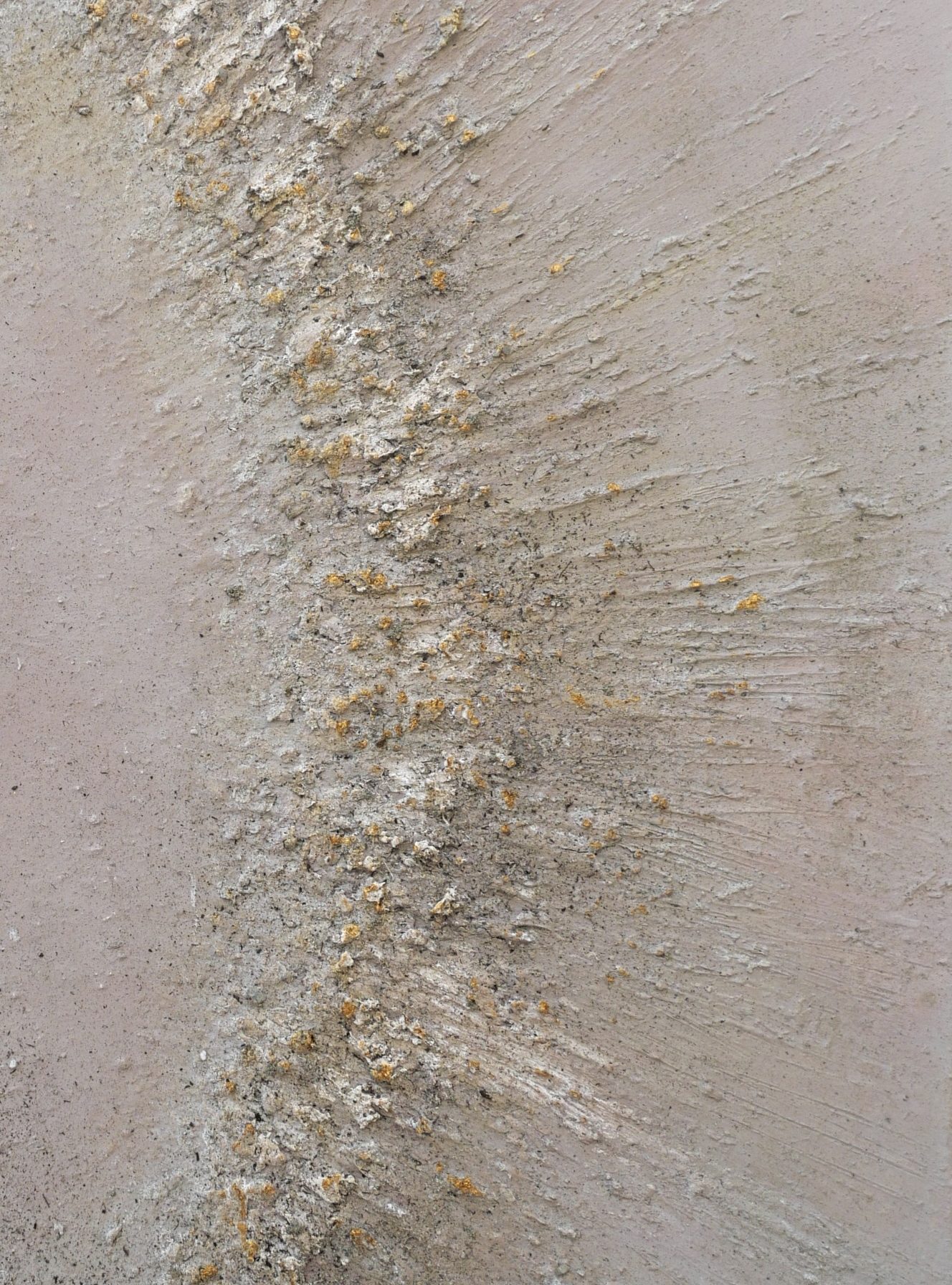 Ovi detail