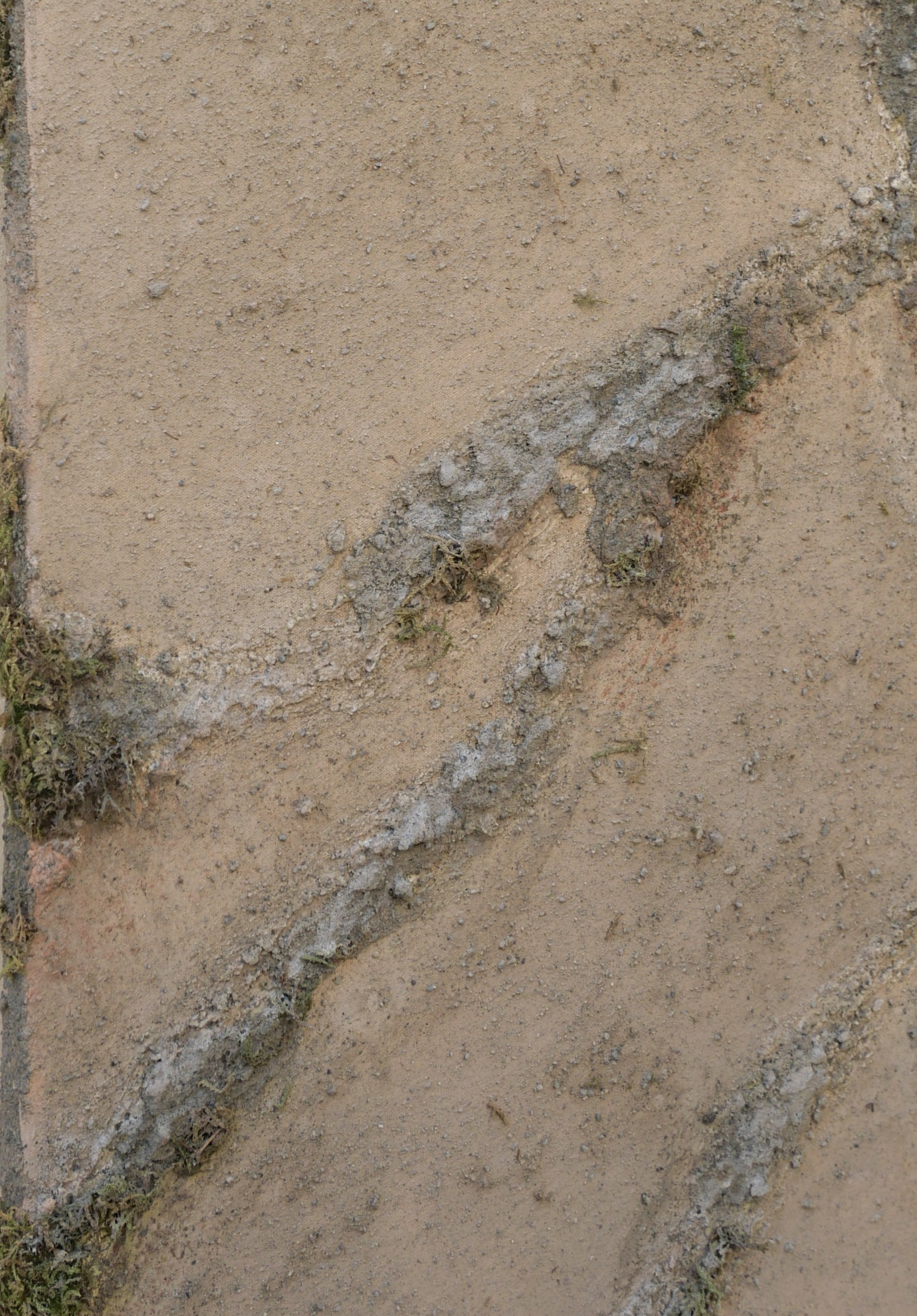 WWMHSD detail